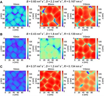 High-Throughput Screening of Optimal Process Parameters for PVD TiN Coatings With Best Properties Through a Combination of 3-D Quantitative Phase-Field Simulation and Hierarchical Multi-Objective Optimization Strategy